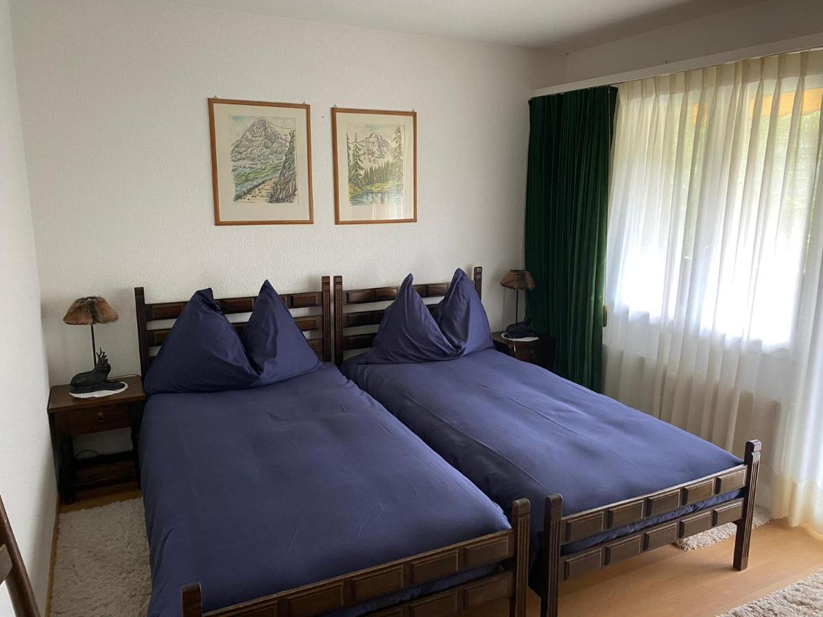 Superior Apartment 100M2 Bodmisonne - גרינדלוולד מראה חיצוני תמונה