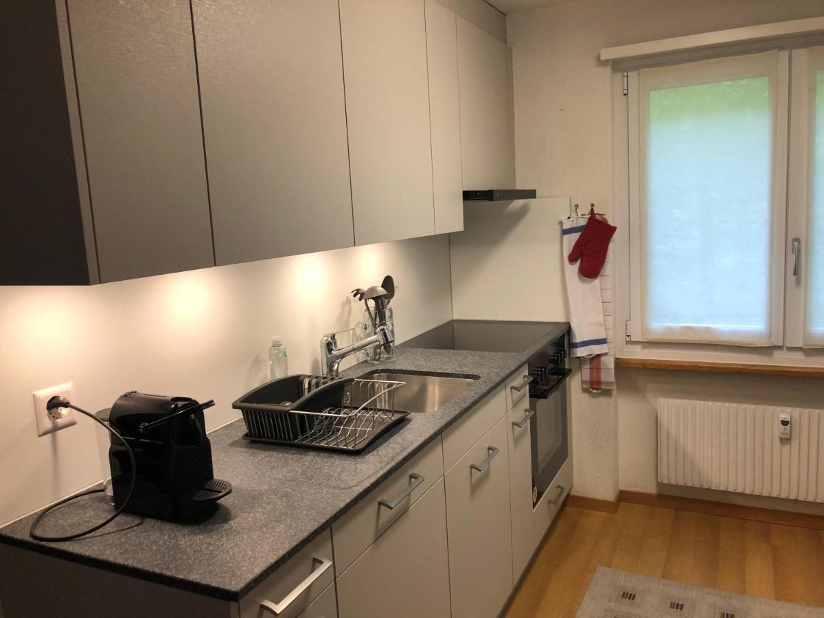 Superior Apartment 100M2 Bodmisonne - גרינדלוולד מראה חיצוני תמונה
