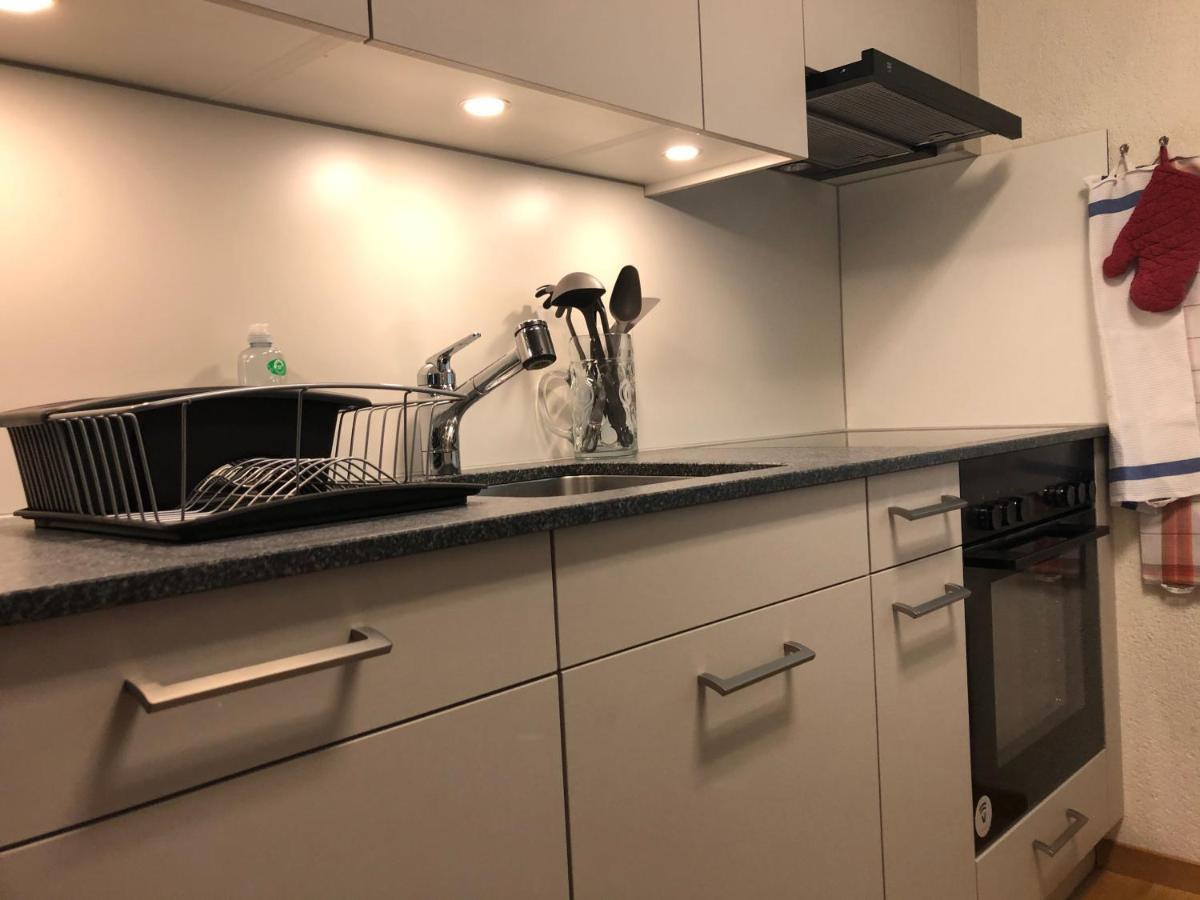 Superior Apartment 100M2 Bodmisonne - גרינדלוולד מראה חיצוני תמונה