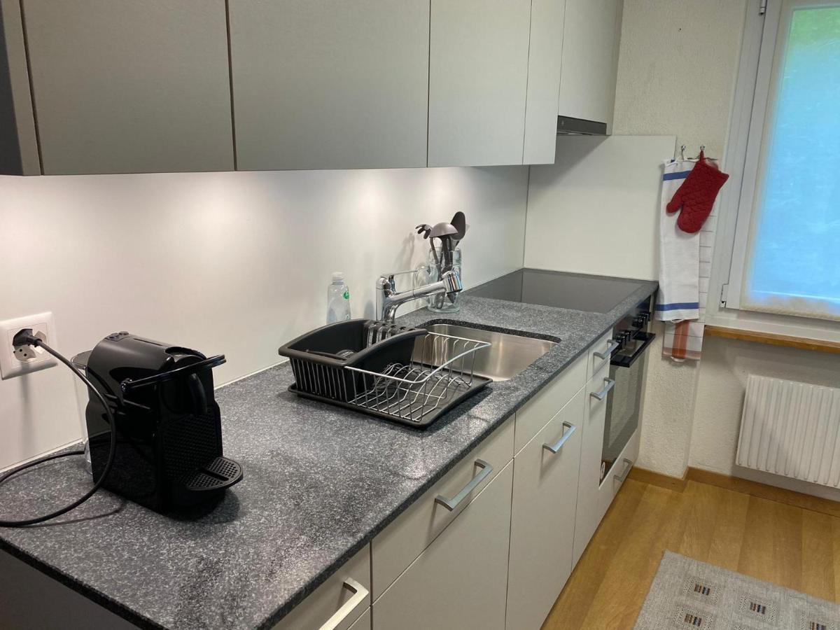 Superior Apartment 100M2 Bodmisonne - גרינדלוולד מראה חיצוני תמונה